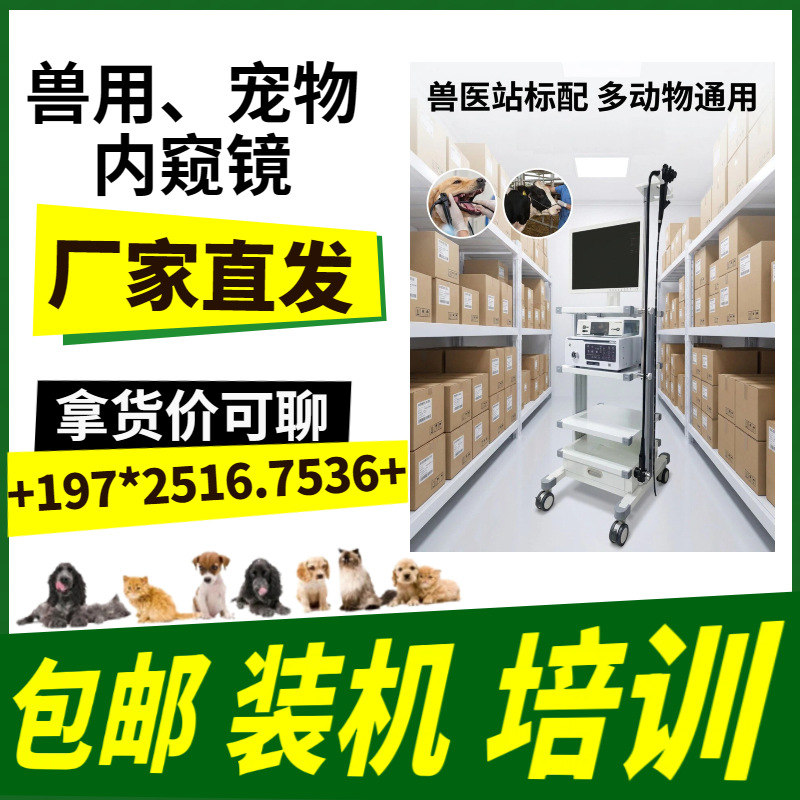 Arthroscopy Veterinary Surgical System Hysteroscope Electrocautery Mirror Veterinary Pet Breeding Animal Endoscope
