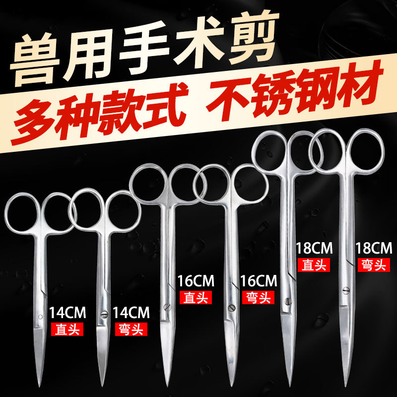 Stainless Steel Surgical Scissors for Veterinary Use Yyj Straight Tip Basic Surgical Anatomy Scissors Dog Hair Scissors