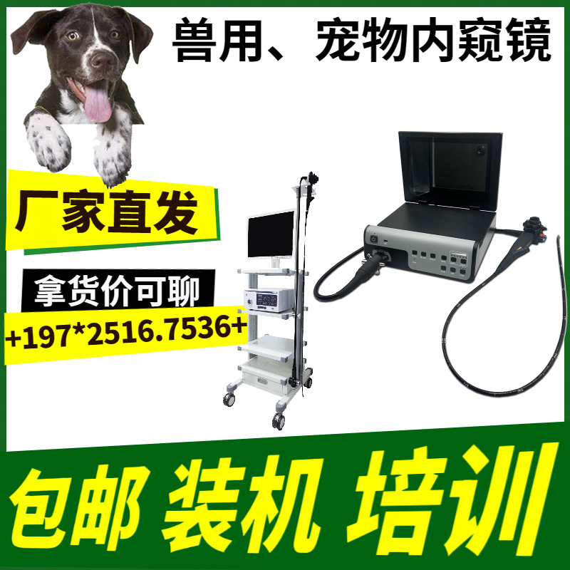 4K high-definition veterinary laparoscopic system, including a camera unit, for animal liver, gallbladder, pancreas, spleen, and kidney surgeries, as well as sterilization procedures